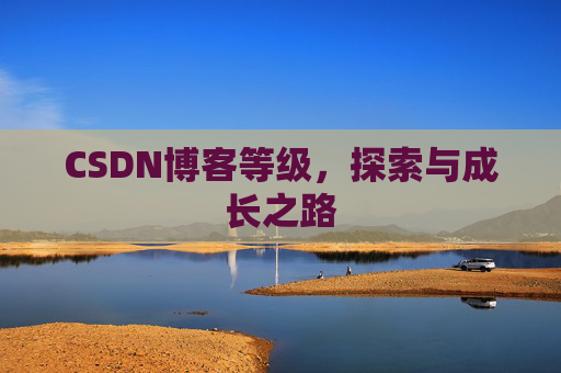 CSDN博客等级,探索与成长之路